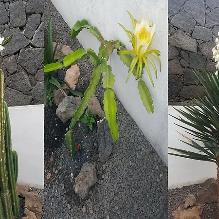 Casa Roja 3 - Quiet Resort, Central, Parking アパート ティアス